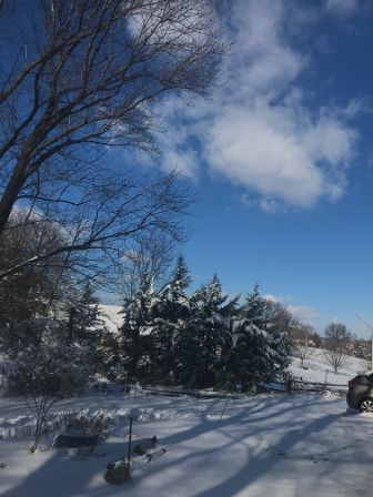 trop beau, la neige!